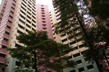 Blk 290A Bukit Batok Street 24 (Bukit Batok), HDB 5 Rooms #330042